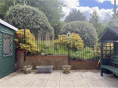 Picture 17